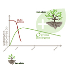 Substrato Cacto|Suculenta|Rosa do deserto Sólido Orgânico 3L Geolia